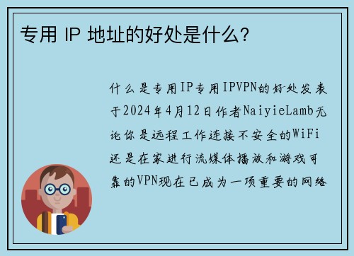 专用 IP 地址的好处是什么？ 
